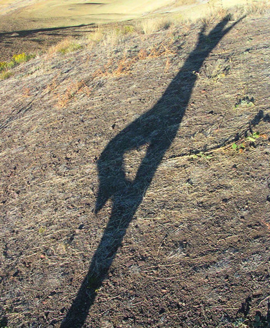 Einfach so DSCN5222_mod