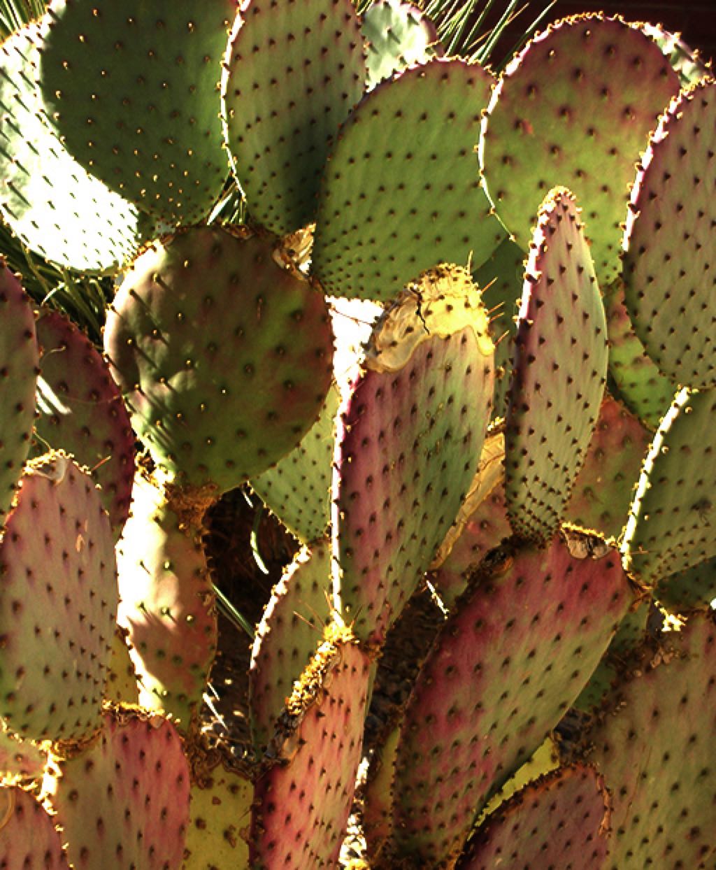 Sardinien2b_DSCN4372_mod